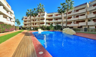 Reventa - Apartamento / piso -
Orihuela Costa - Playa Flamenca