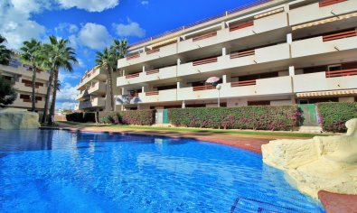 Reventa - Apartamento / piso -
Orihuela Costa - Playa Flamenca