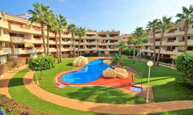 Reventa - Apartamento / piso -
Orihuela Costa - Playa Flamenca