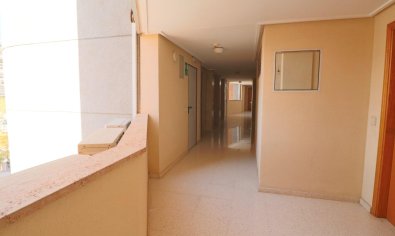 Reventa - Apartamento / piso -
Benidorm - Levante