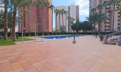 Reventa - Apartamento / piso -
Benidorm - Levante