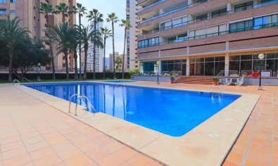 Reventa - Apartamento / piso -
Benidorm - Levante