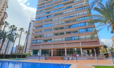 Reventa - Apartamento / piso -
Benidorm - Levante