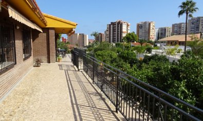 Bestaande bouw - Villa -
Benidorm - Poniente