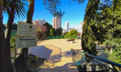 Reventa - Apartamento / piso -
Benidorm - Poniente