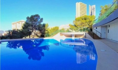 Reventa - Apartamento / piso -
Benidorm - Poniente