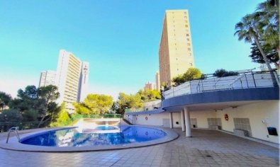 Reventa - Apartamento / piso -
Benidorm - Poniente