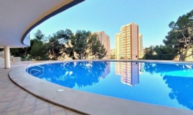 Reventa - Apartamento / piso -
Benidorm - Poniente