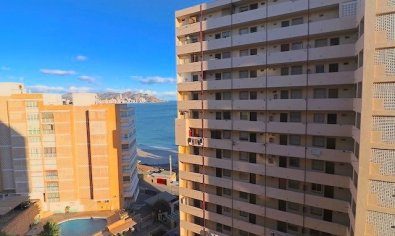 Reventa - Apartamento / piso -
Benidorm - Poniente