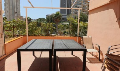 Reventa - Apartamento / piso -
Benidorm - Poniente