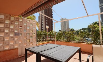 Reventa - Apartamento / piso -
Benidorm - Poniente