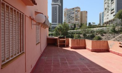 Reventa - Apartamento / piso -
Benidorm - Poniente