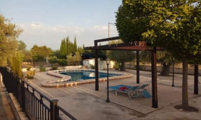 Bestaande bouw - Villa -
Yecla
