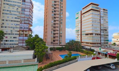 Bestaande bouw - Appartement -
Benidorm - Levante