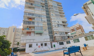 Bestaande bouw - Appartement -
Benidorm - Levante