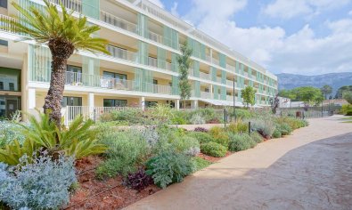 Bestaande bouw - Appartement -
Denia - Port