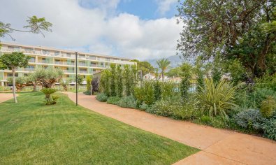 Bestaande bouw - Appartement -
Denia - Port