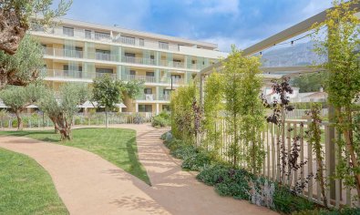 Bestaande bouw - Appartement -
Denia - Port