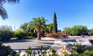 Bestaande bouw - Finca -
San Miguel de Salinas