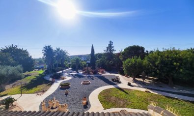 Bestaande bouw - Finca -
San Miguel de Salinas