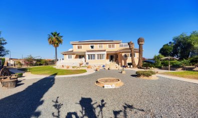 Bestaande bouw - Finca -
San Miguel de Salinas