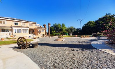 Bestaande bouw - Finca -
San Miguel de Salinas