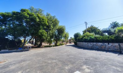 Bestaande bouw - Finca -
San Miguel de Salinas