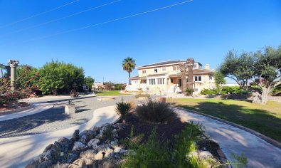Bestaande bouw - Finca -
San Miguel de Salinas