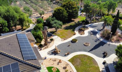 Bestaande bouw - Finca -
San Miguel de Salinas