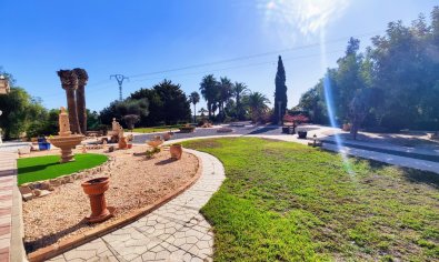 Bestaande bouw - Finca -
San Miguel de Salinas