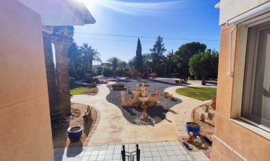 Bestaande bouw - Finca -
San Miguel de Salinas