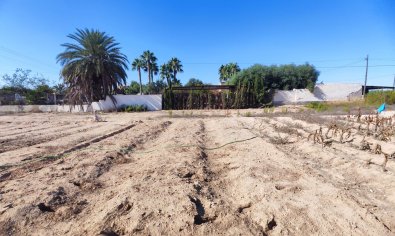 Bestaande bouw - Finca -
San Miguel de Salinas