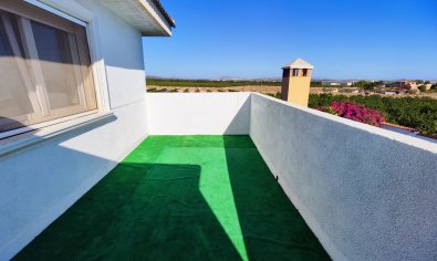 Bestaande bouw - Finca -
San Miguel de Salinas