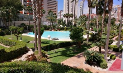 Reventa - Apartamento / piso -
Benidorm - Rincón de Loix