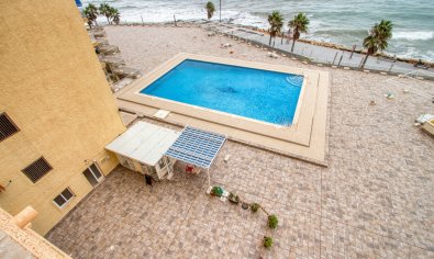 Reventa - Apartamento / piso -
Torrevieja - Playa del Cura