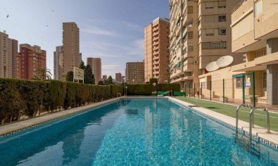 Reventa - Apartamento / piso -
Benidorm - Levante