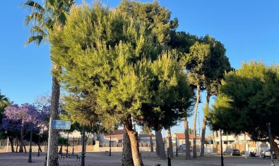 Reventa - Apartamento / piso -
San Pedro del Pinatar