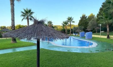 Bestaande bouw - Appartement -
Orihuela Costa - Campoamor