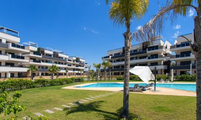 Reventa - Apartamento / piso -
Orihuela - Orihuela Costa