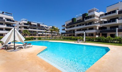 Reventa - Apartamento / piso -
Orihuela - Orihuela Costa