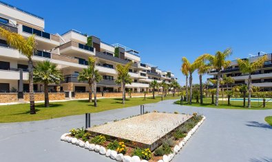 Reventa - Apartamento / piso -
Orihuela - Orihuela Costa