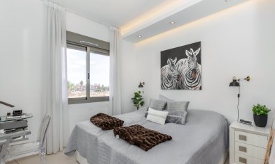 Bestaande bouw - Appartement -
Ciudad Quesada