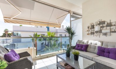 Bestaande bouw - Appartement -
Ciudad Quesada