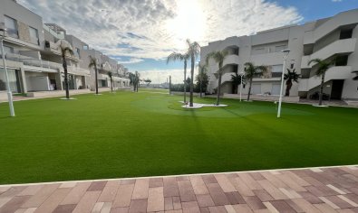 Resale - Apartment -
Guardamar del Segura