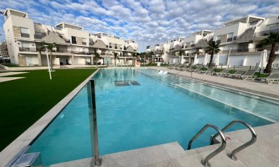 Resale - Apartment -
Guardamar del Segura