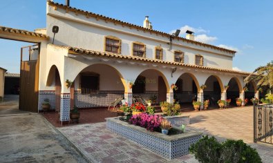 Resale - Villa -
Villena