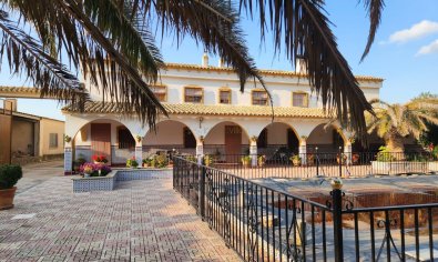 Resale - Villa -
Villena