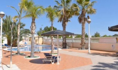 Bestaande bouw - Appartement -
Guardamar del Segura