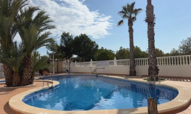 Bestaande bouw - Appartement -
Guardamar del Segura