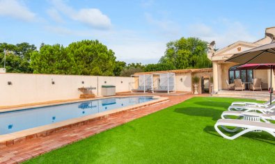 Resale - Villa -
Daya Vieja